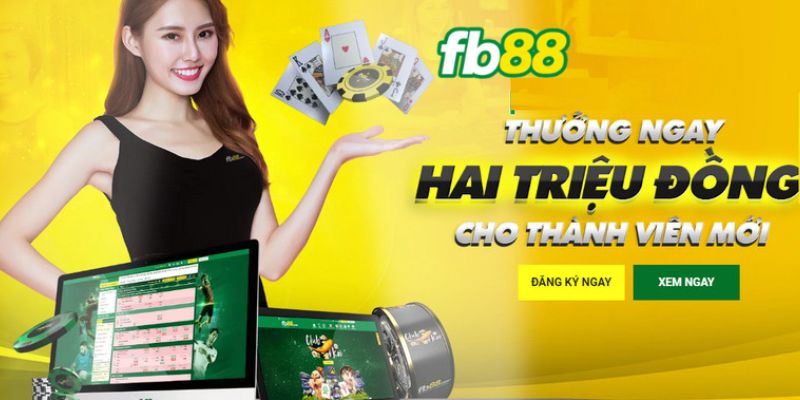 Những thứ nhận được khi vào fb88 link đúng