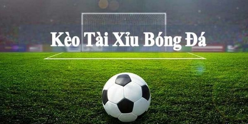 Trong kèo tài xỉu, bet thủ sẽ không cần quan tâm đến đội giành thắng lợi