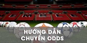 Cách Chuyển Odds Châu u Sang Châu Á Chuẩn Xác Tại Nhà Cái