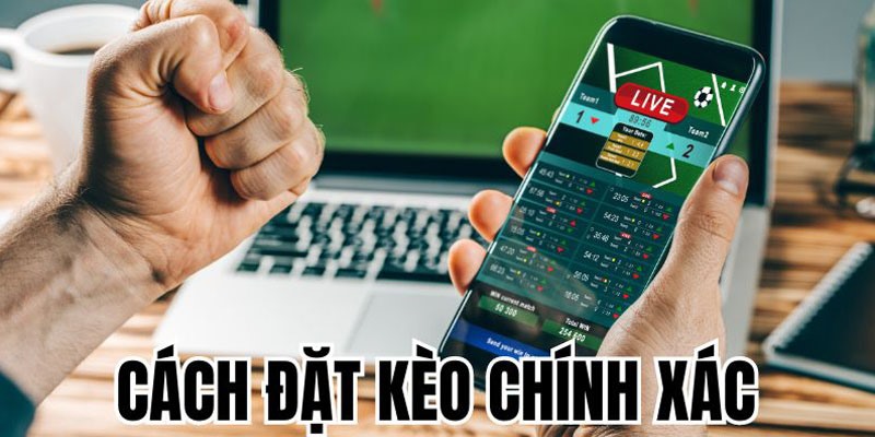 Mẹo đặt kèo bách phát bách trúng từ cao thủ