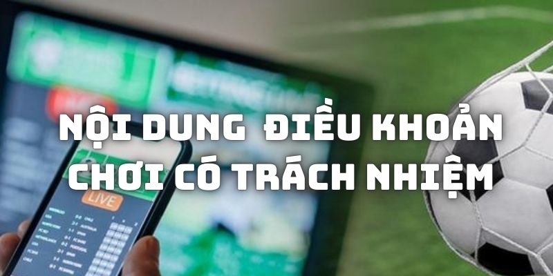 Một số nội dung căn bản trong chính sách chơi có trách nhiệm